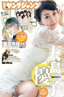国鸟是公鸡的国家是