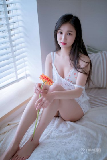 杰克辣条虐猫