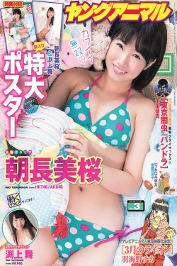 狗熊岭规则怪谈