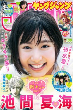 《野良猫电影2017》