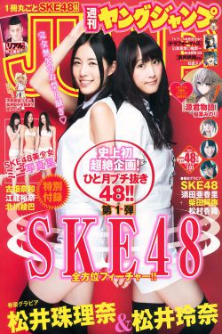 东北警察故事2免费观看完整版