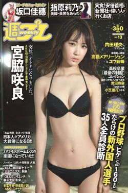 神雕侠侣(陈晓版)