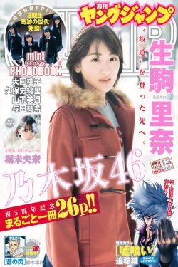《王者清风电视剧全集》