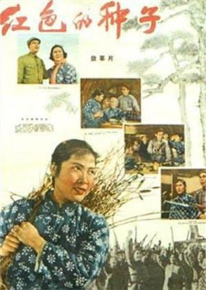 美国十次啦最新导航