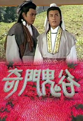 vibos中国老妈