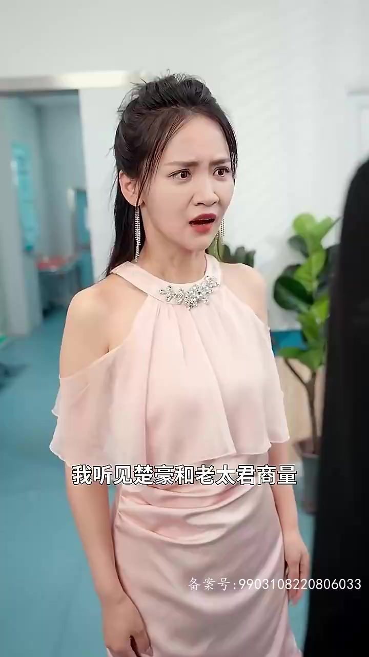 花和尚导航